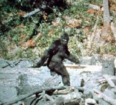 Sasquatch, Pacific Northwest