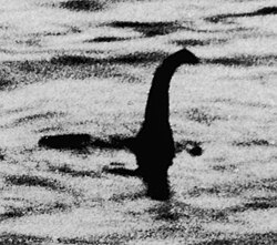 Loch Ness sonar anomaly
